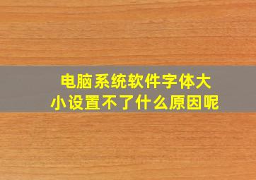 电脑系统软件字体大小设置不了什么原因呢