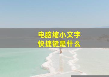 电脑缩小文字快捷键是什么