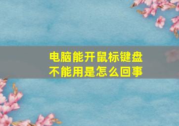 电脑能开鼠标键盘不能用是怎么回事