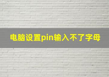 电脑设置pin输入不了字母