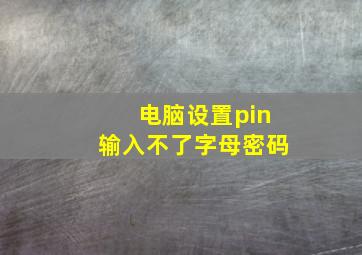 电脑设置pin输入不了字母密码