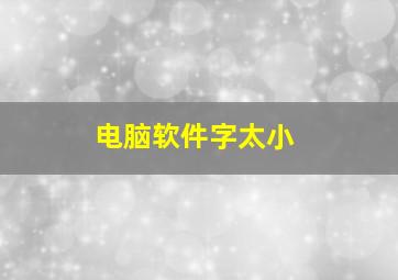 电脑软件字太小