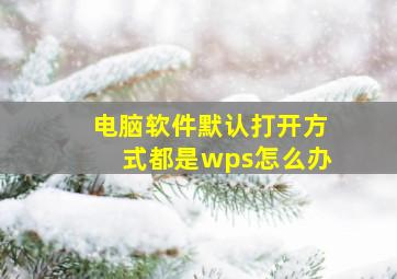 电脑软件默认打开方式都是wps怎么办