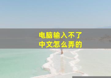 电脑输入不了中文怎么弄的