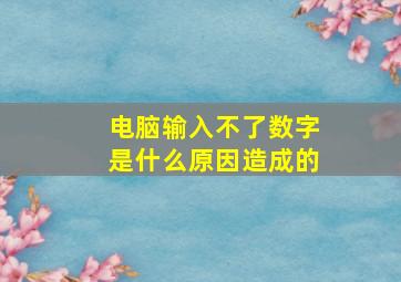 电脑输入不了数字是什么原因造成的