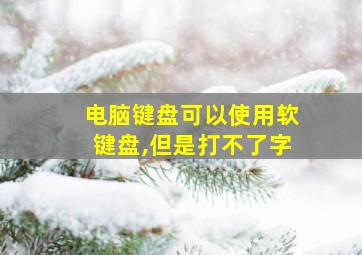 电脑键盘可以使用软键盘,但是打不了字