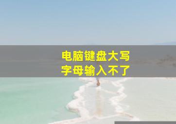 电脑键盘大写字母输入不了