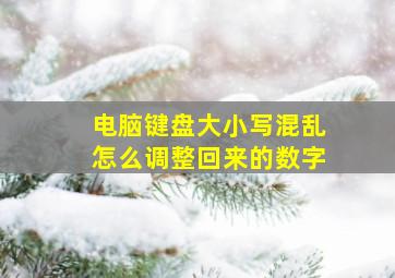 电脑键盘大小写混乱怎么调整回来的数字