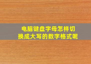 电脑键盘字母怎样切换成大写的数字格式呢