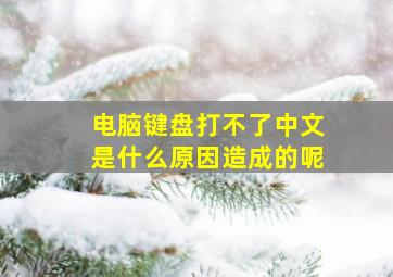 电脑键盘打不了中文是什么原因造成的呢