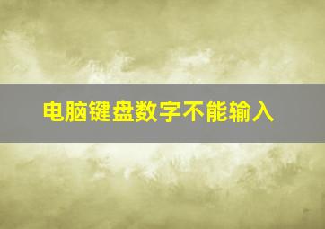 电脑键盘数字不能输入