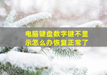 电脑键盘数字键不显示怎么办恢复正常了