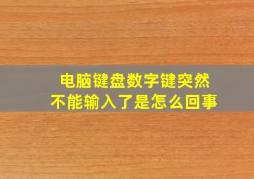 电脑键盘数字键突然不能输入了是怎么回事