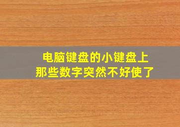 电脑键盘的小键盘上那些数字突然不好使了