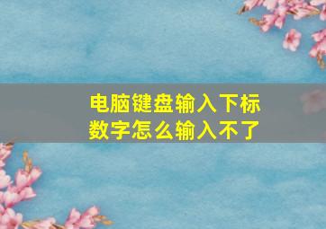 电脑键盘输入下标数字怎么输入不了