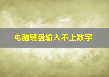 电脑键盘输入不上数字