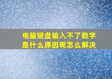 电脑键盘输入不了数字是什么原因呢怎么解决