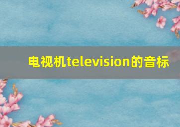 电视机television的音标