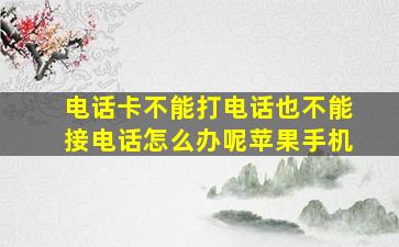 电话卡不能打电话也不能接电话怎么办呢苹果手机