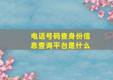 电话号码查身份信息查询平台是什么