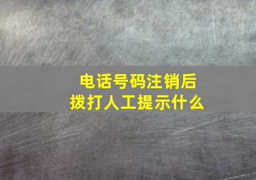 电话号码注销后拨打人工提示什么