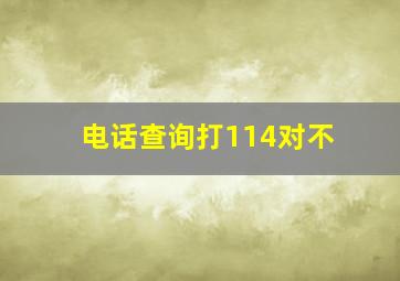 电话查询打114对不