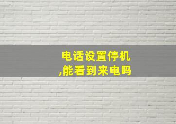 电话设置停机,能看到来电吗