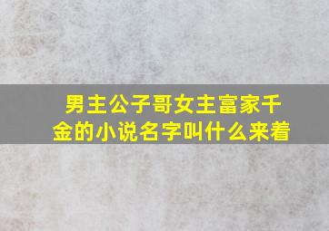 男主公子哥女主富家千金的小说名字叫什么来着