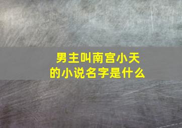 男主叫南宫小天的小说名字是什么