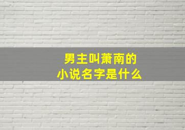 男主叫萧南的小说名字是什么