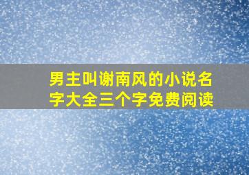 男主叫谢南风的小说名字大全三个字免费阅读