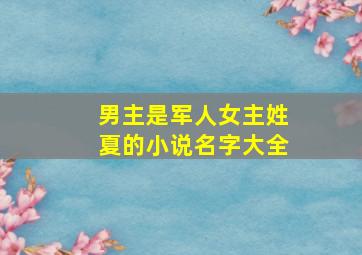 男主是军人女主姓夏的小说名字大全