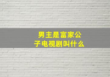 男主是富家公子电视剧叫什么