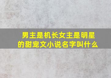 男主是机长女主是明星的甜宠文小说名字叫什么