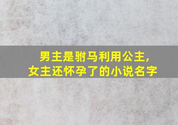 男主是驸马利用公主,女主还怀孕了的小说名字