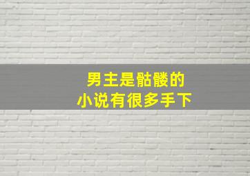 男主是骷髅的小说有很多手下