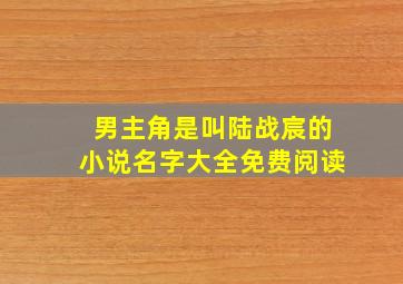 男主角是叫陆战宸的小说名字大全免费阅读