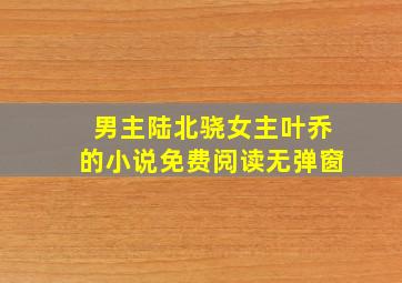 男主陆北骁女主叶乔的小说免费阅读无弹窗