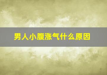 男人小腹涨气什么原因