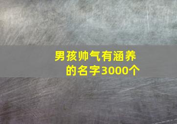 男孩帅气有涵养的名字3000个