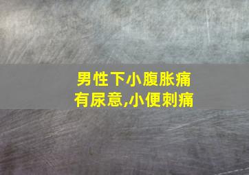 男性下小腹胀痛有尿意,小便刺痛