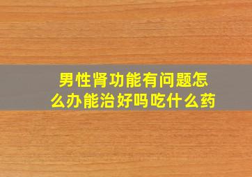 男性肾功能有问题怎么办能治好吗吃什么药