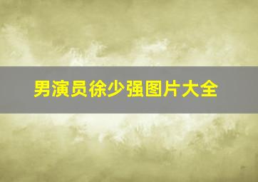 男演员徐少强图片大全