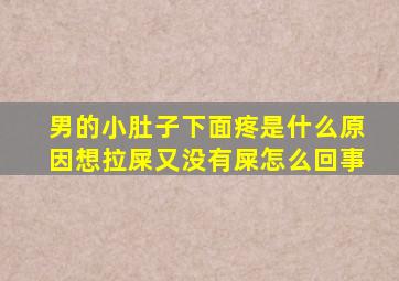 男的小肚子下面疼是什么原因想拉屎又没有屎怎么回事