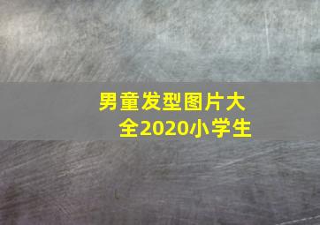 男童发型图片大全2020小学生