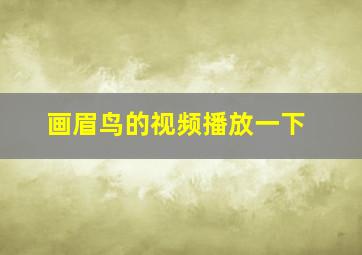 画眉鸟的视频播放一下