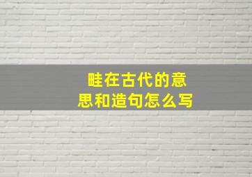 畦在古代的意思和造句怎么写