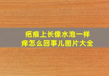 疤痕上长像水泡一样痒怎么回事儿图片大全