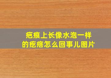 疤痕上长像水泡一样的疙瘩怎么回事儿图片