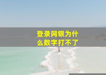 登录网银为什么数字打不了